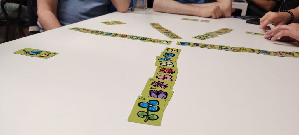 Le colonne da 12 carte in fase di setup a Garden
